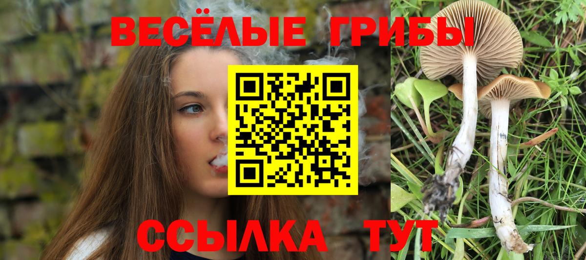 Ишимбай  Галлюциногенные грибы MAGIC MUSHROOMS  Вход с VPN 